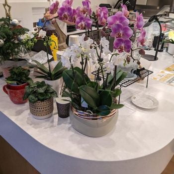 calgary university 3